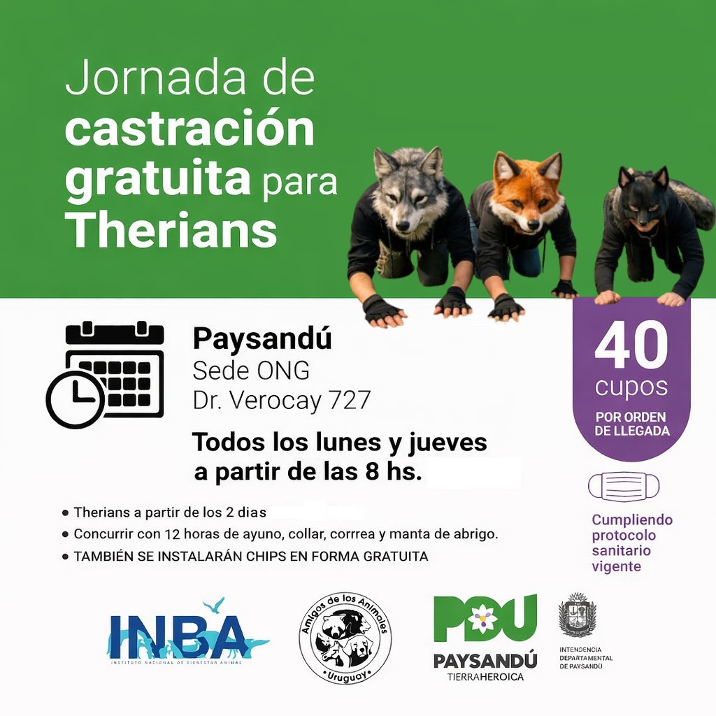 En Paysandú no se andan con chiquitas eh! A ver si los otros departamentos toman el ejemplo. ⬇️