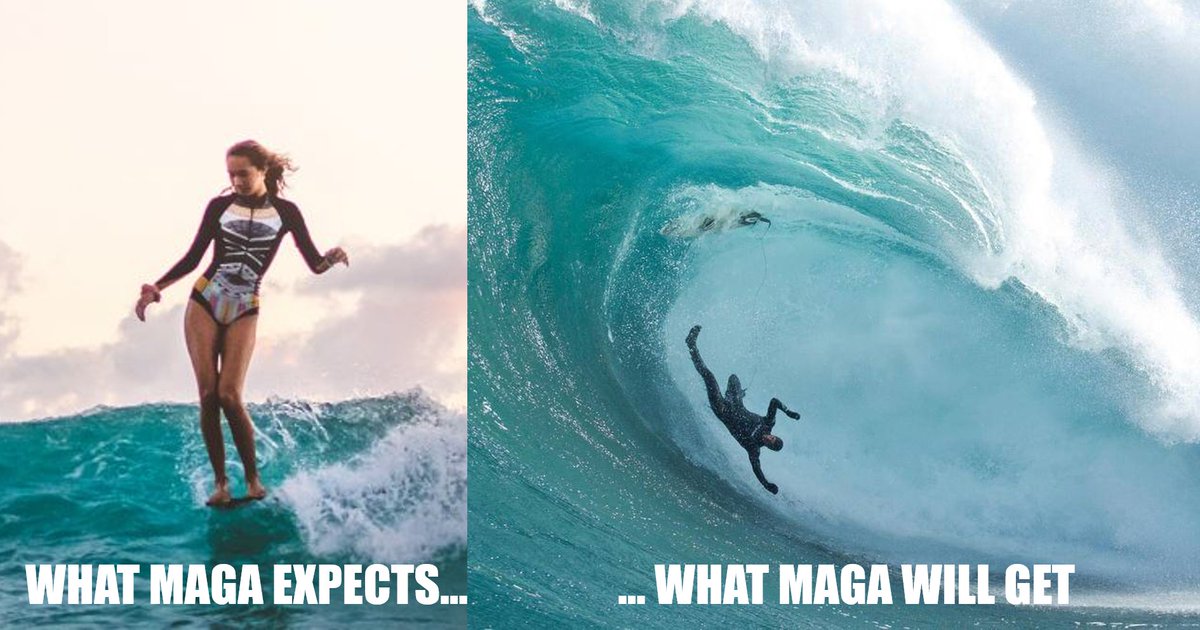 Federico M. Domínguez tweet media