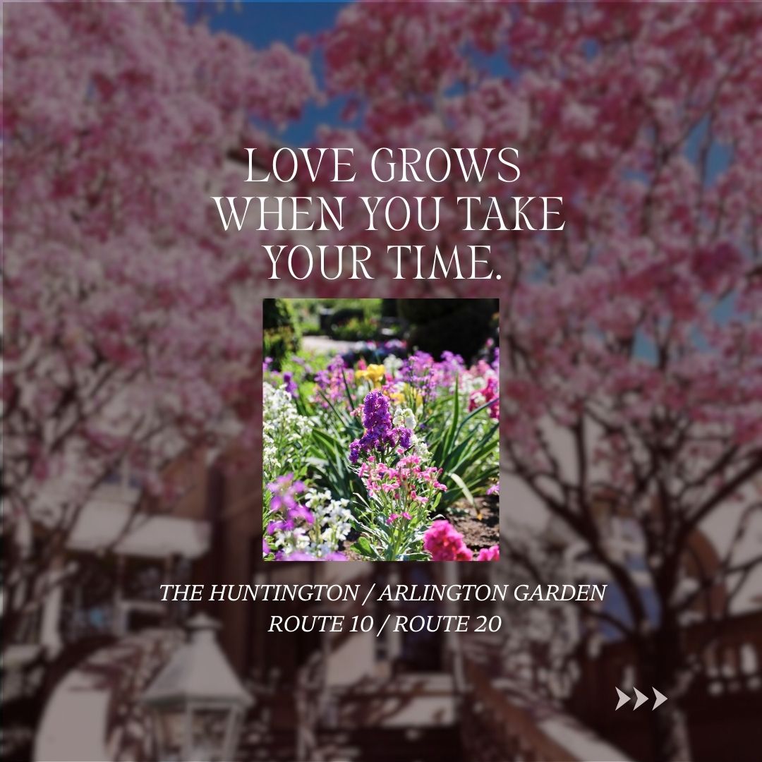 Pasadena Transit tweet media