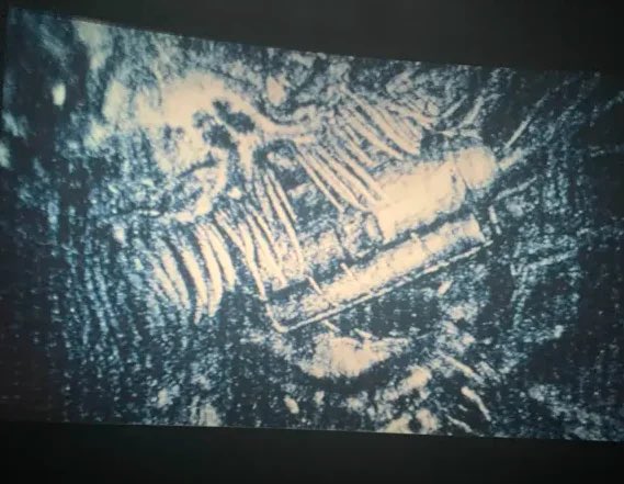 Me gusta el diseño del pez de iron lung