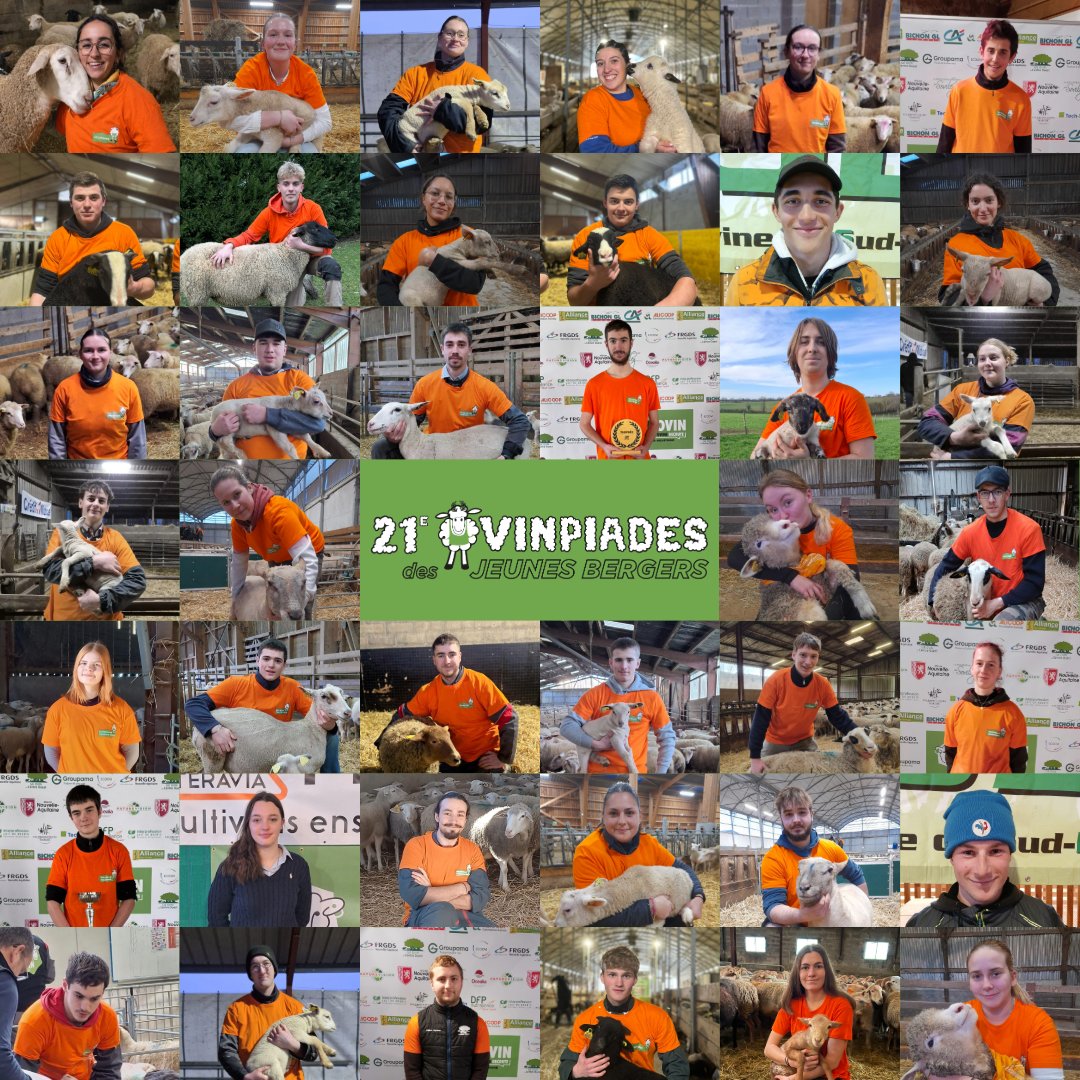 Inn'Ovin tweet media