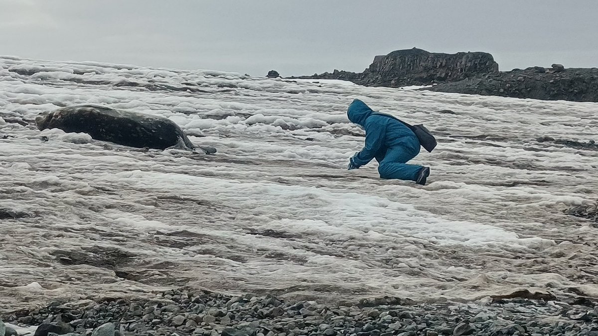 Sara Cifuentes (she/her) tweet media