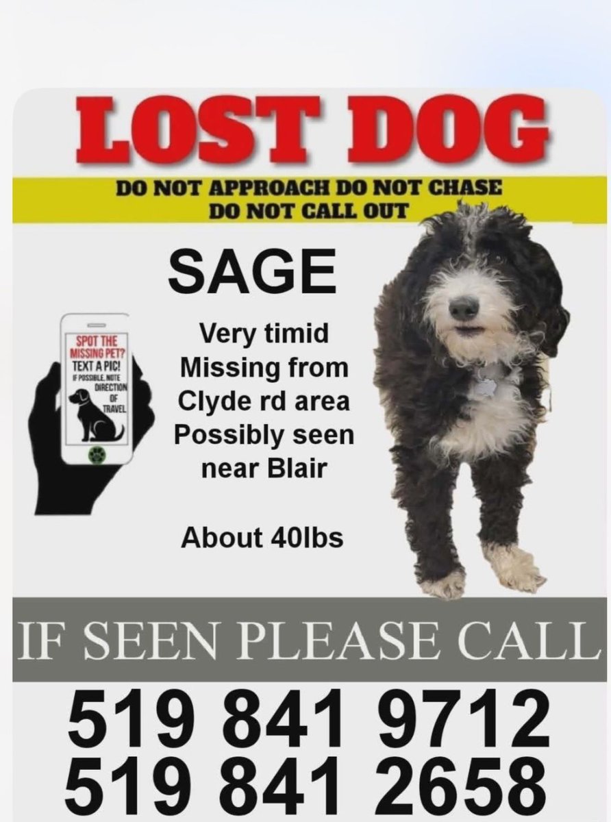 Guelph Lost Pets tweet media