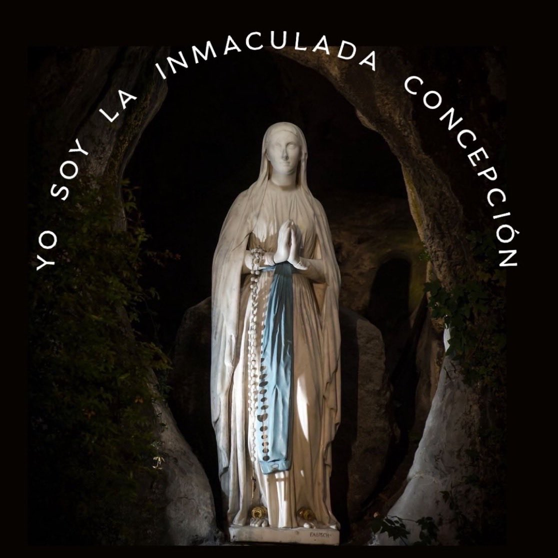 Reina_de_la_Paz's tweet image. Yo soy la Inmaculada Concepción