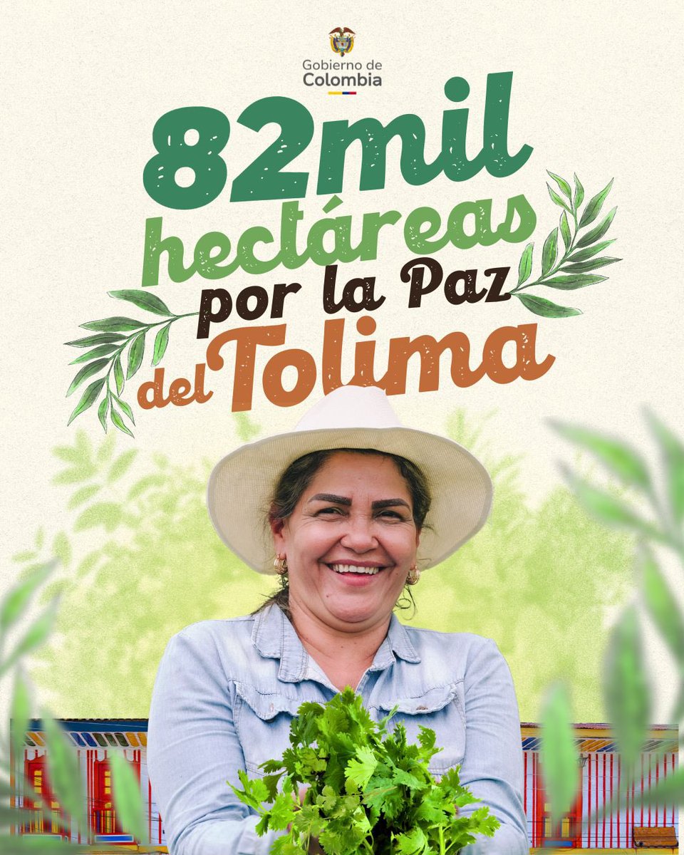 82.000 hectáreas que marcan para el Tolima el mayor avance agrario en la historia del departamento. Esto se suma a las 5.443 hectáreas ya entregadas a 483 familias durante el Gobierno del presidente Gustavo Petro.
#ConTierraCumplimos