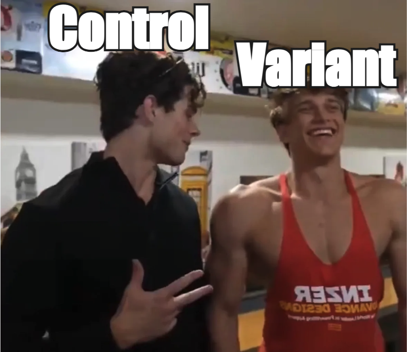 Intelligems tweet media