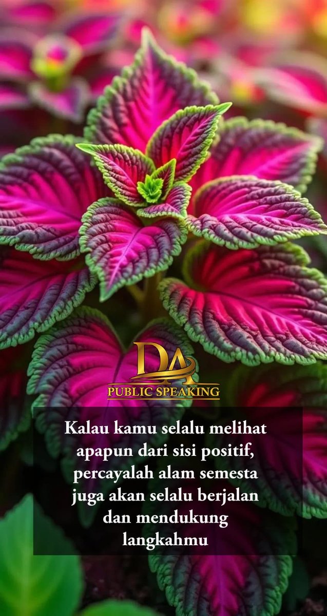 Assalamualaikum warahmatullahi wabarokatuh, selamat pagi... Semoga segala aktivitas hari ini dapat berjalan dengan baik, sukses untuk kita bersama... 

#quotesda #dapublicspeaking #jagahati
#jagakesehatan #denyazis