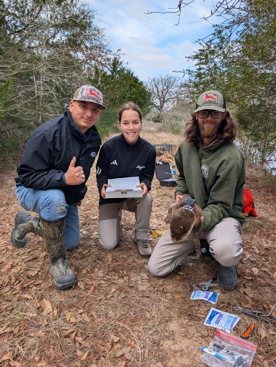 Ty Werdel tweet media