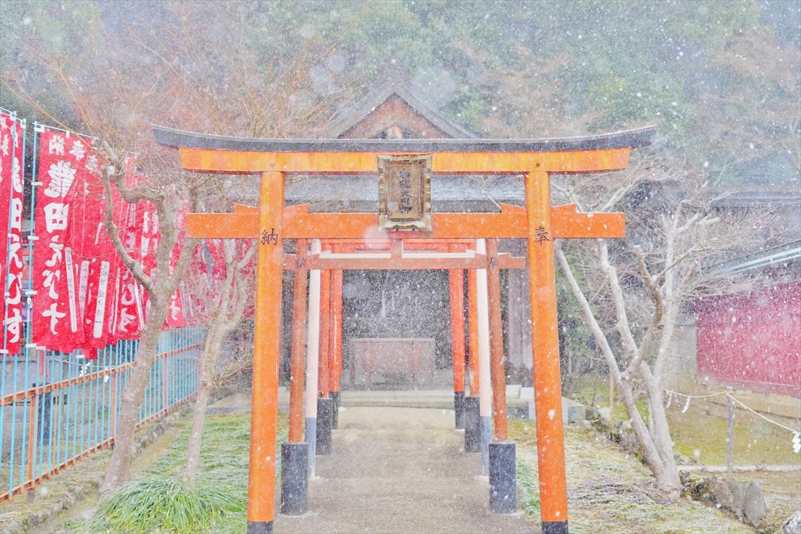 おはようございます
龍田大社に降る雪
これだけ降ることは珍しく
ここに降ったら撮りたいと思っていたので
色々な場所を撮りました
 #神社  #雪  #雪景色