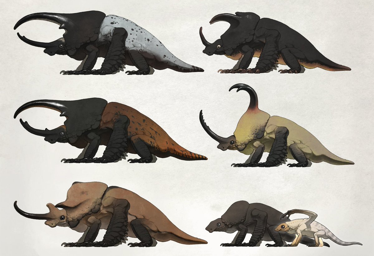 おはドラゴン！！