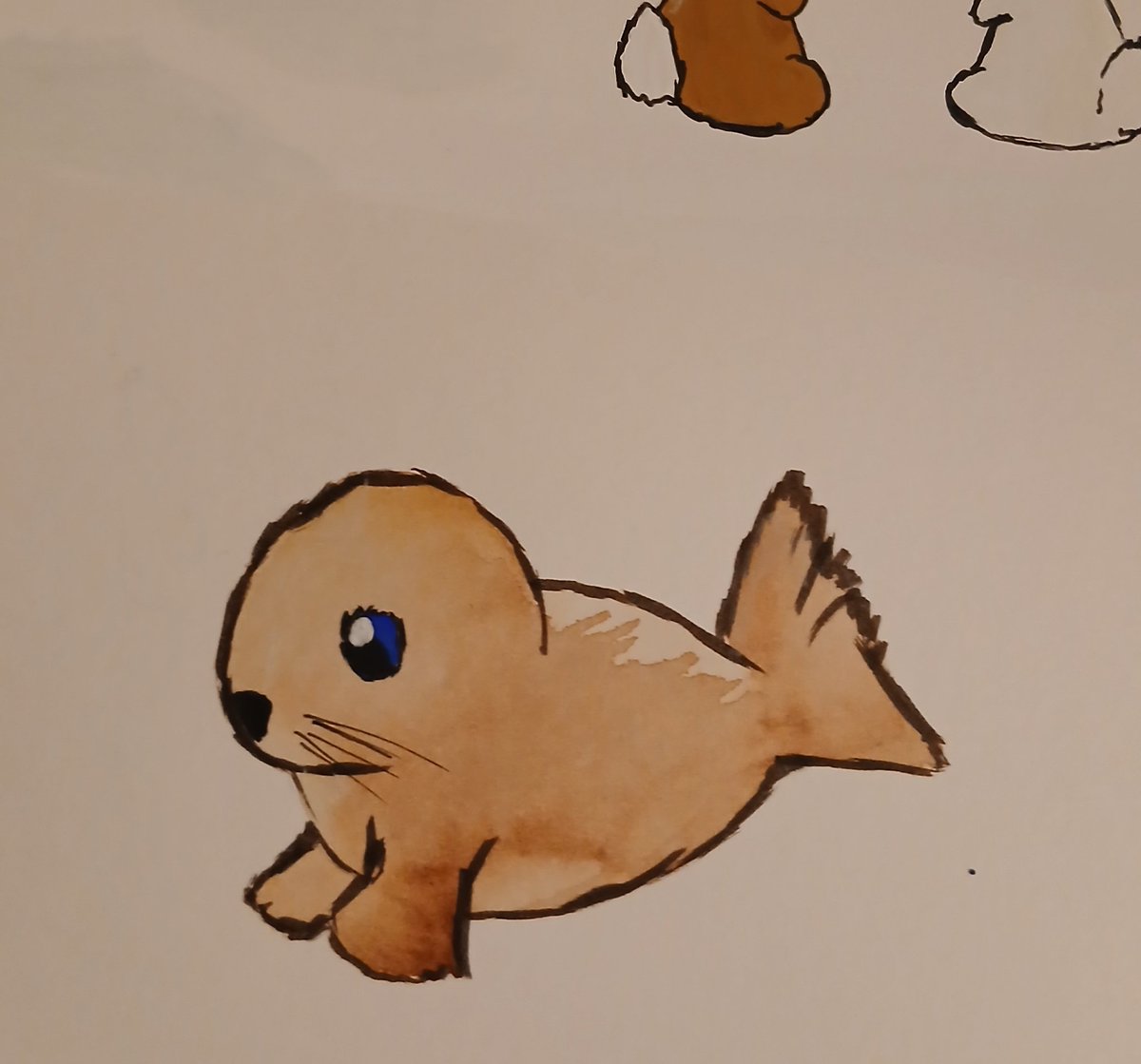 I saw a seal, I forgot to take a photo, but it looked roughly like this