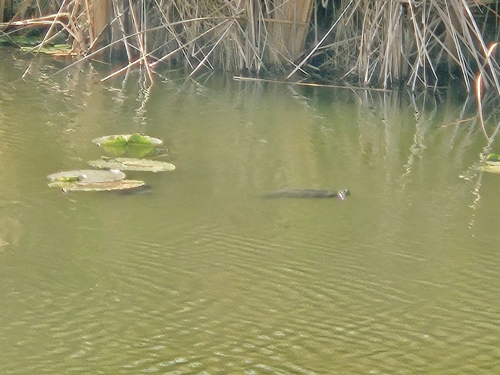 Sooz ⚾️ tweet media