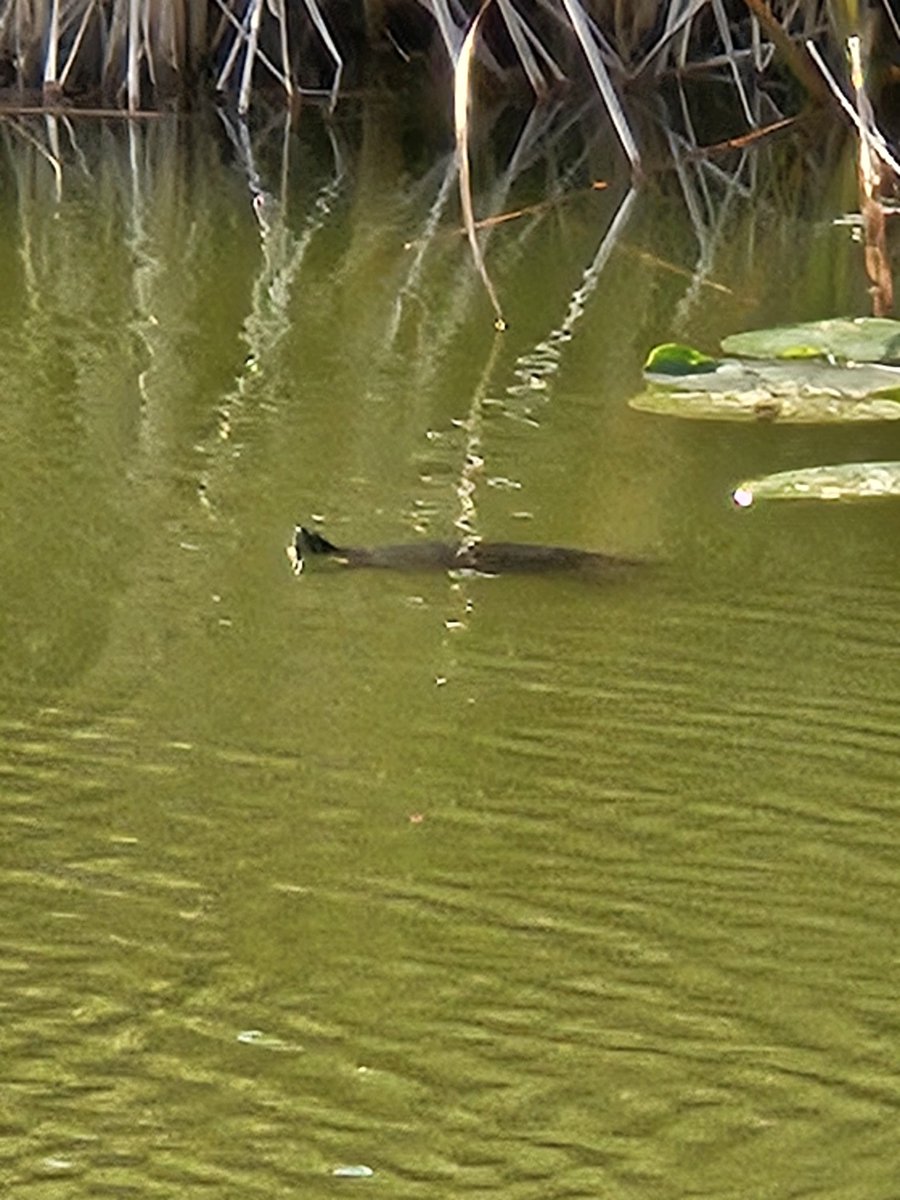 Sooz ⚾️ tweet media