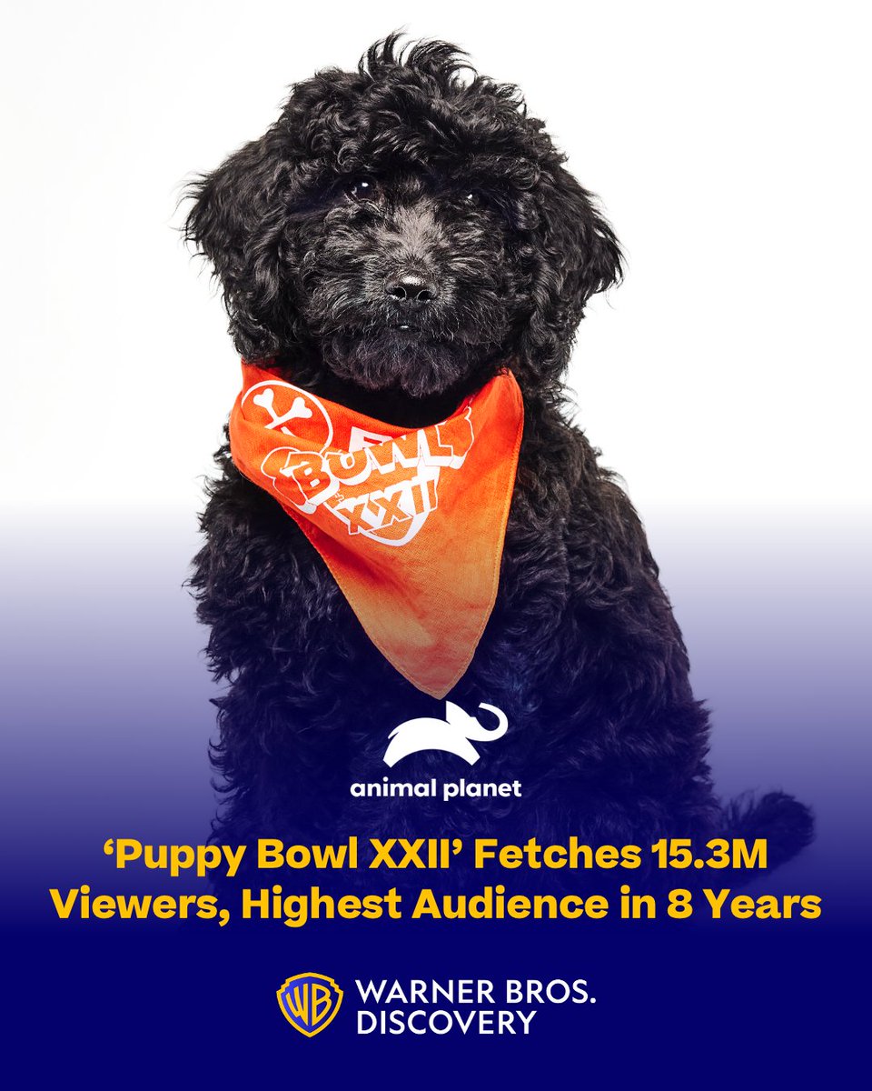 wbd's tweet photo. #PuppyBowl XXII brought the puppy love on Sunday, reaching 15.3M viewers across @AnimalPlanet, @Discovery, @TBSNetwork, @truTV, @hbomax & @discoveryplus.  

The telecast ranked as the #1 non-sports cable program of the day & delivered its highest audience in 8 years. Learn more: https://t.co/rpQ45yTSUp