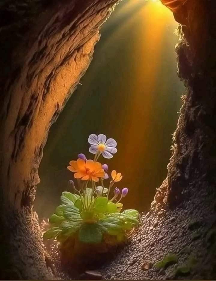 دعاء الفجر 
اللهم اجعلنـــــا ممّن إذا أنعمــتَ عليـــهم شكــروا
وإذا إبتليتـــــهم صبــــروا وإذا أذنبوا استغفـــــروا
اللهم إنّا نسألك صباحاً يتجلّى فيه لطفك ويتّسع فيه رزقك وتمتد فيه عافيتك ونستفتح فيه برحمتك
معتز الكويتي