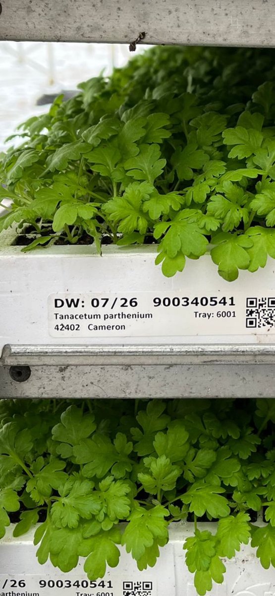 Hans Hendriks tweet media