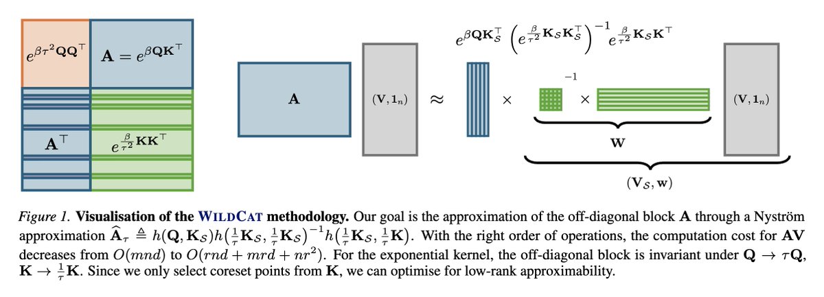 fly51fly tweet media