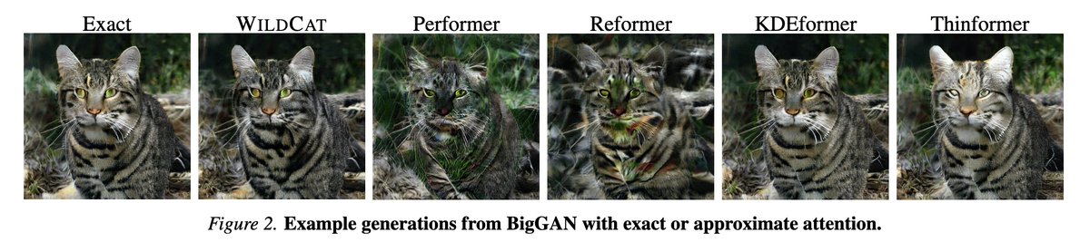 fly51fly tweet media