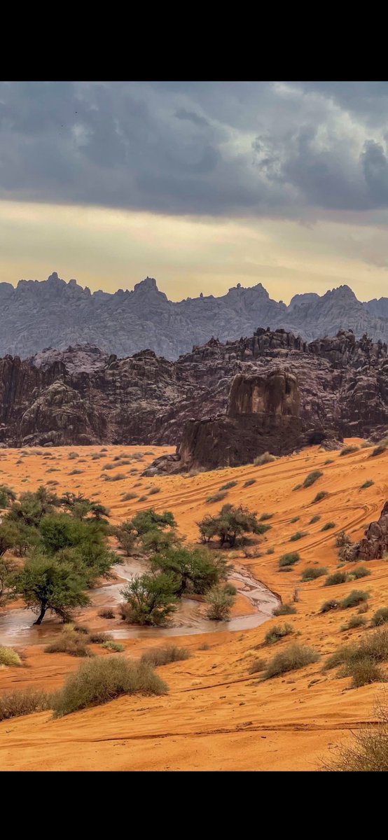 عبدالله الـعديلي tweet media