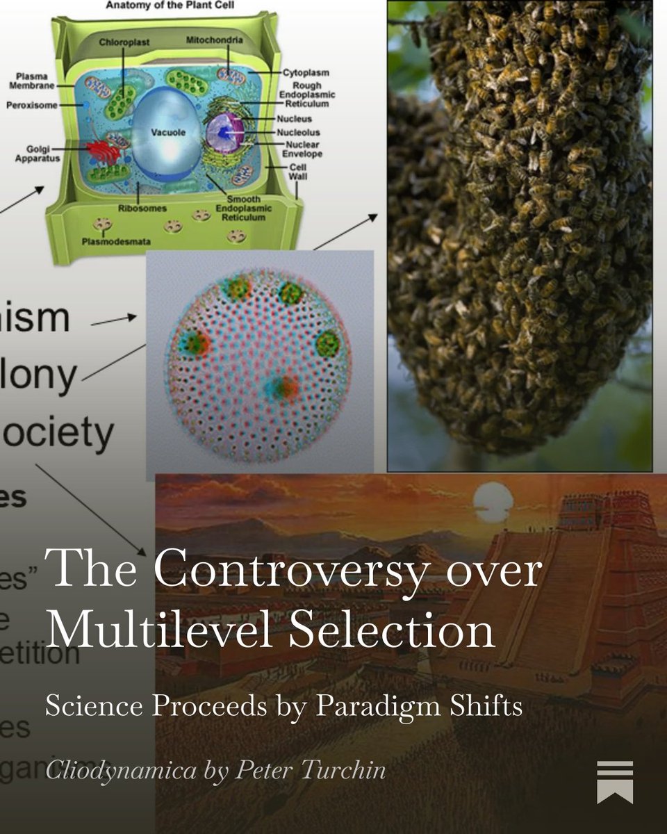 Peter Turchin tweet media