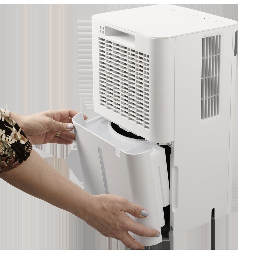 Sérgio Engrácia (@sergioengracia) on Twitter photo 