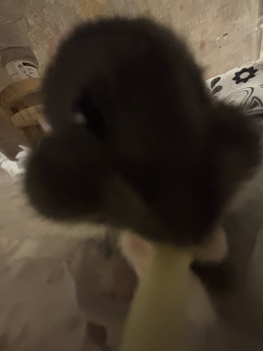 yuuayy22's tweet image. 