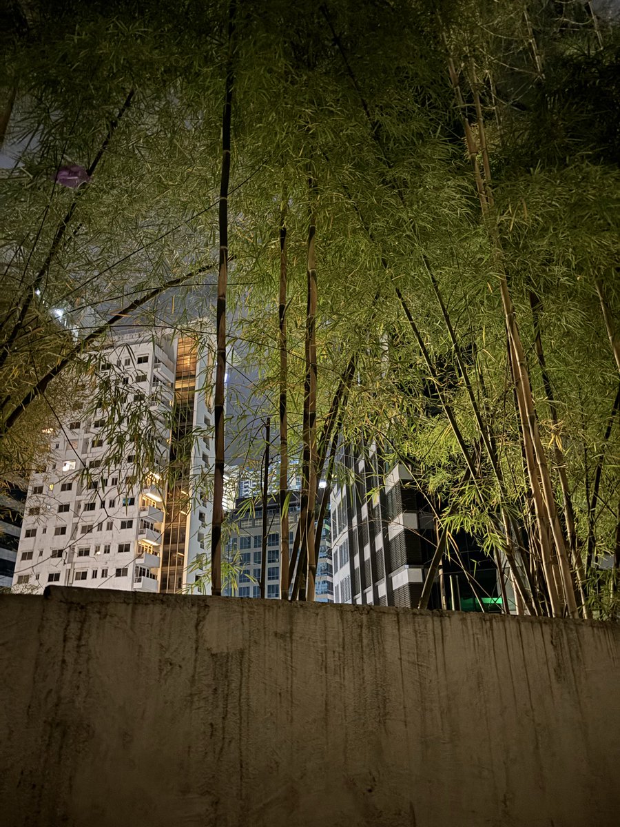markryder_17's tweet photo. Somewhere in BGC https://t.co/p3V8l4D2sE