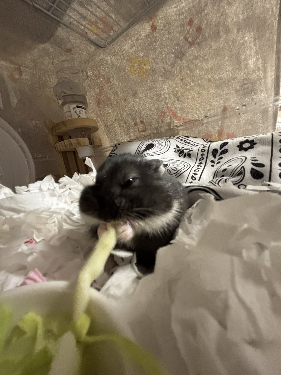 yuuayy22's tweet image. 