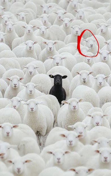 Me in a generation addicted to yaoi, minsung and ao3