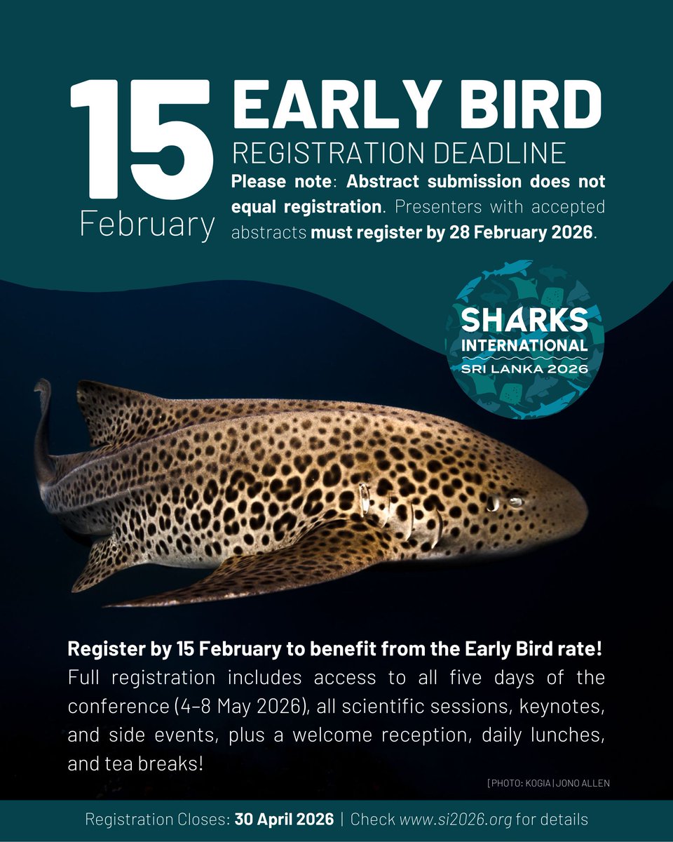 Sharks International 2026 tweet media