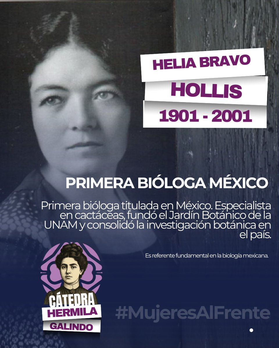 Cátedra Hermila Galindo tweet media