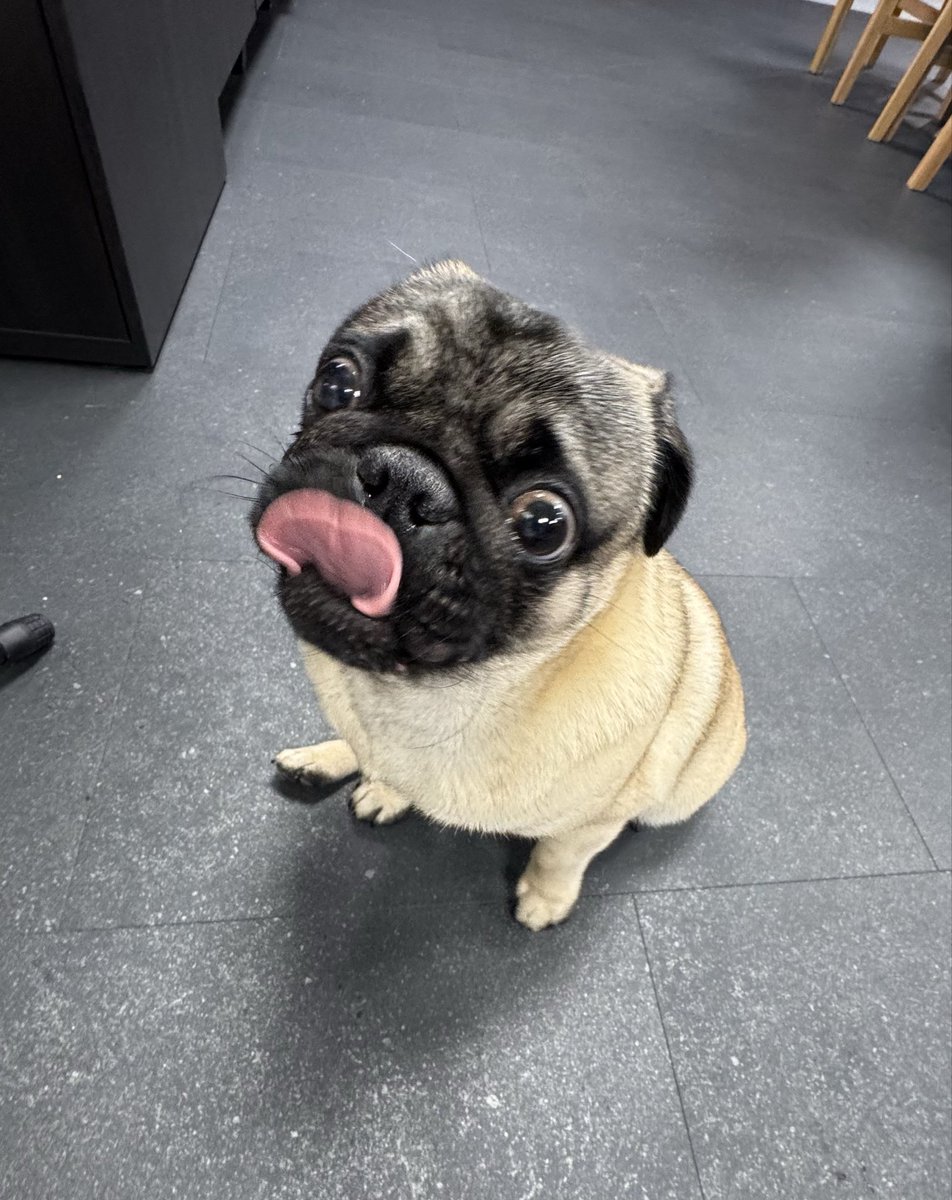 JL Jue 🍉 tweet media