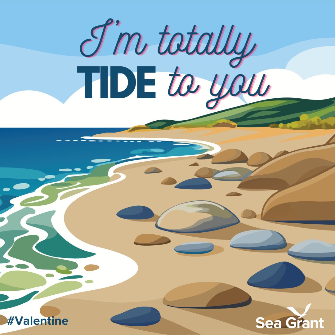 NOAA Sea Grant tweet media