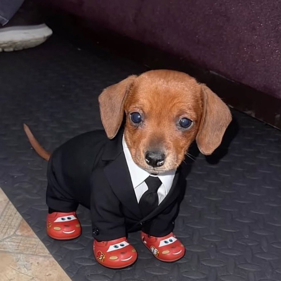 lestat texting bullshit like this to claudia and being like “claudeaaa…when u were petit bébé i often dressed u like this and we took trips to the ‘chuck of cheese’..u were si mignon and listened to me then..how those days have passed..” and claudia replies with “😒”