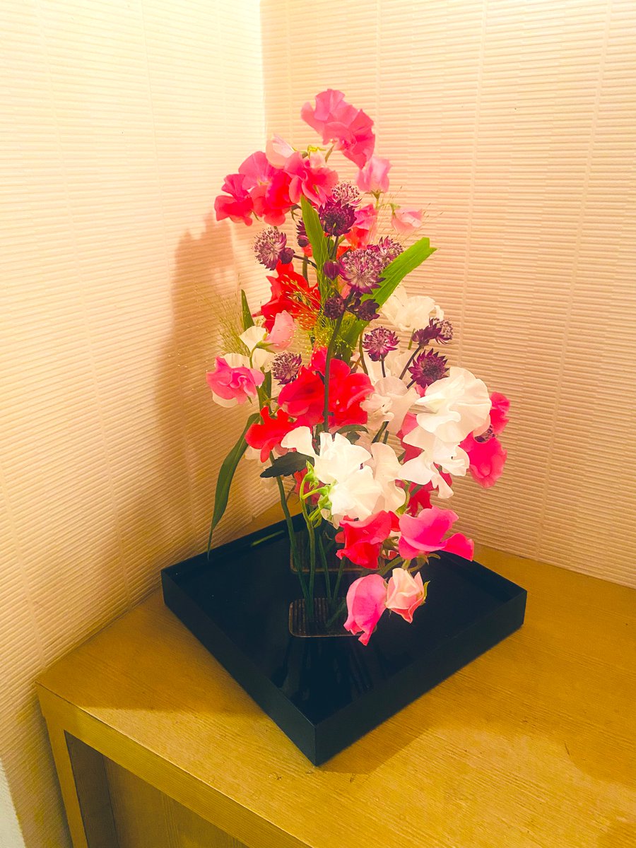 おはようございます
退院後初の医大診察day
痛みも随分楽になりました
昨日はランチもディナーも外食でしたので
暇に任せてあれこれ食べないように‼️
本日もよろしくお願いします☺️