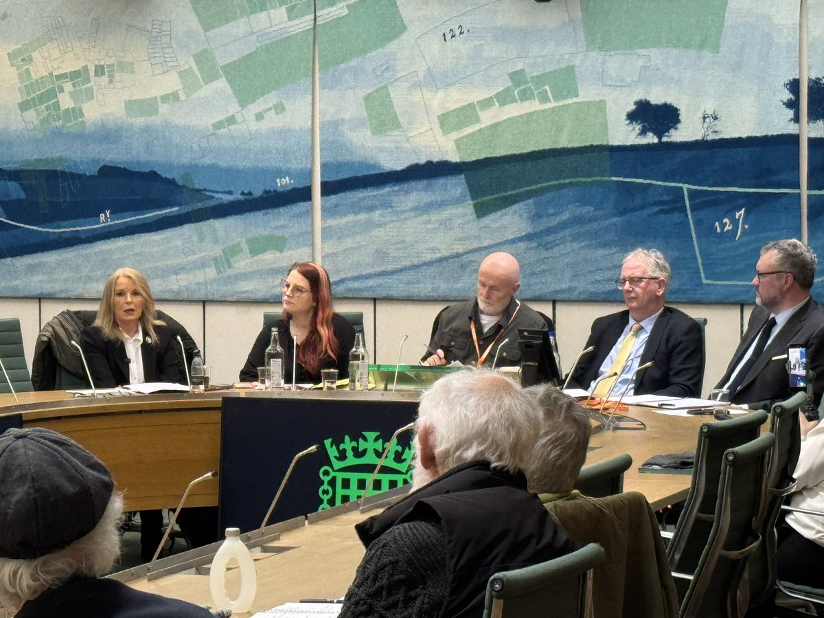 Joe Dwyer tweet media