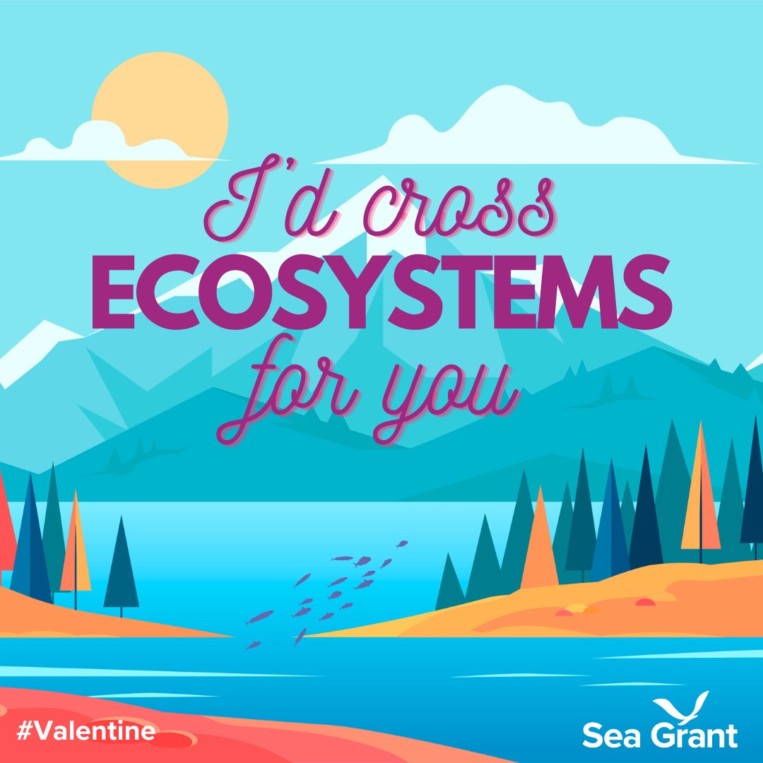 NOAA Sea Grant tweet media