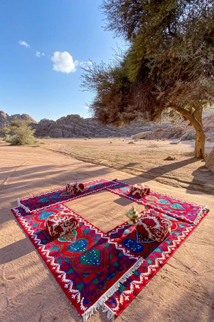 الطبيعة في أصفى صورها.. هنا موريتانيا 🇲🇷