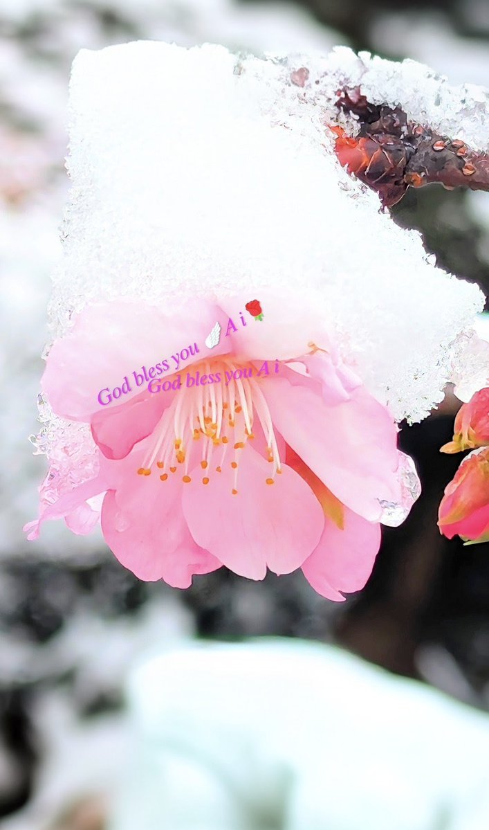 ryu ryu 🍥 ❌No DMs please🍥🐯🎹🎸 fx 🍚🌼🍺… (@ryuryu20981567