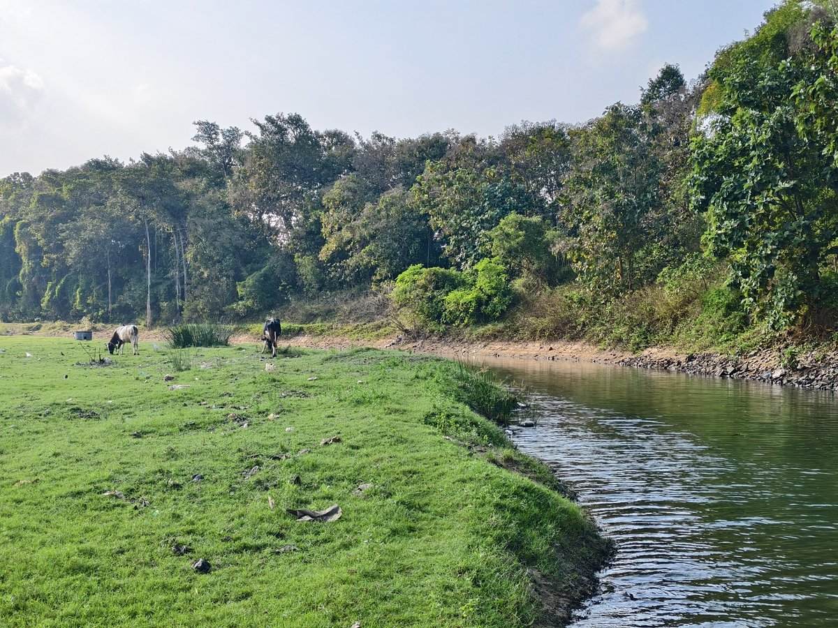 📢New CottageResort Project Underway🏗️in Kumbakonam

📍Located at VeeraCholan River Bank with Serene Kaveri beauty!

Kumbakonam HOSPITALITY Industry growing high📈
Navagraha Circuit &amp; Swamimalai contributes Strong Tourism base in this region✅
Exciting Updates ahead📢
#Kumbakonam