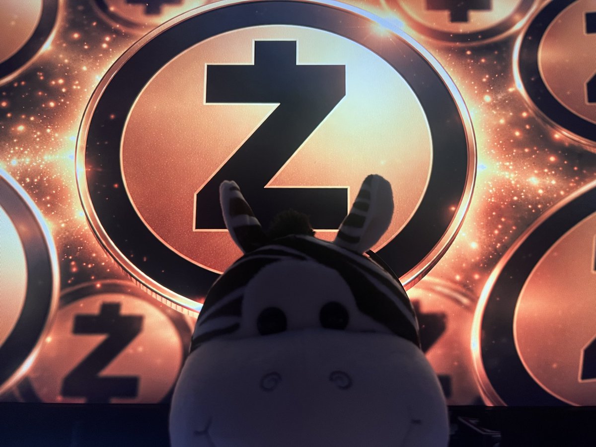 rafaelando__'s tweet photo. temos uma novidade por aqui, logo sai o vídeo onde eu vou conectar essa belezinha. 

Obrigada,
 @zcashbrazil 💛 https://t.co/ERzoUEQNuS