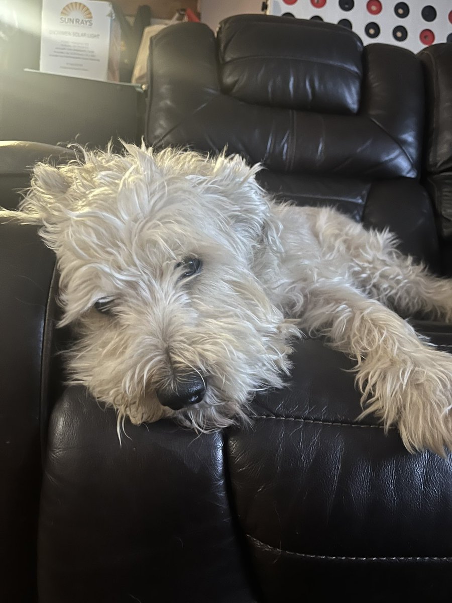 Sleepiest gremlin turned 7 today!!!!