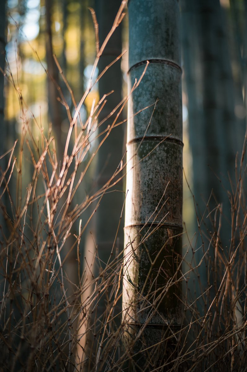 みかづき (@mic_azuki) on X