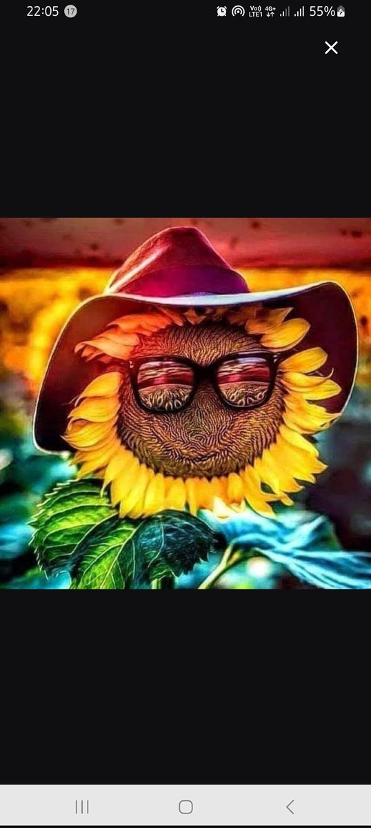 SunFlower (@PowerSunflower_) / Posts / X