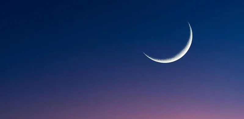 أخبار السعودية tweet media