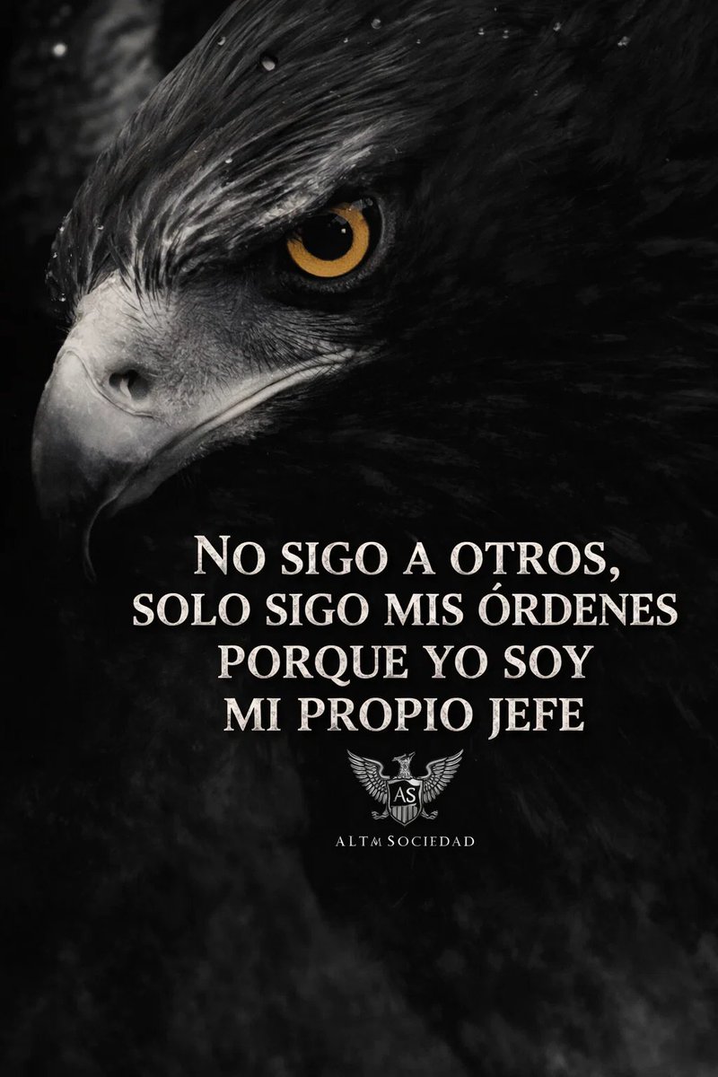Alta Sociedad (@alta_sociedad_) on Twitter photo 