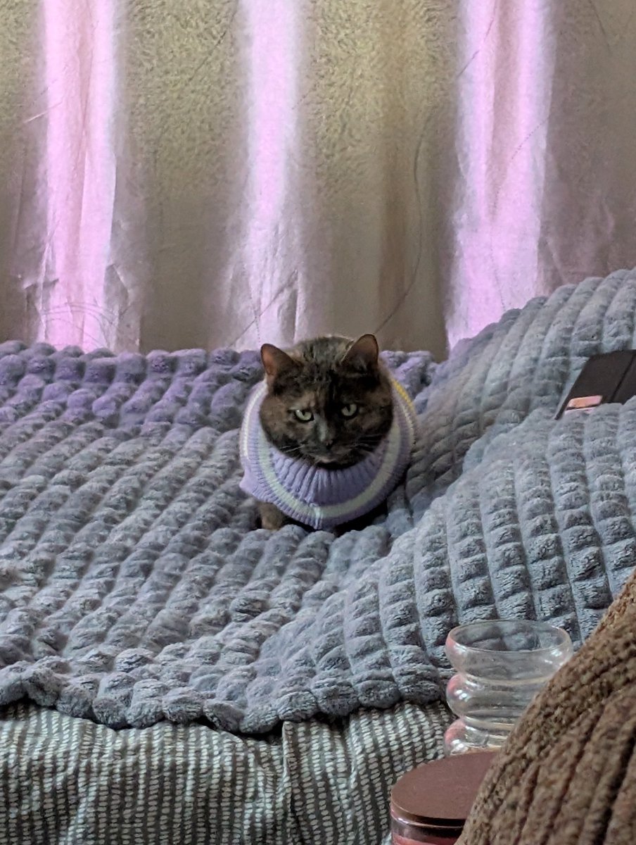 вона навчилась знімати одяг 

Кусб, коли на роботу?