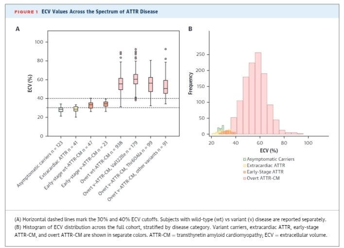 Ahmad Masri tweet media