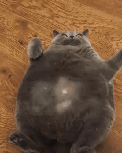 CosmaticMango tweet media