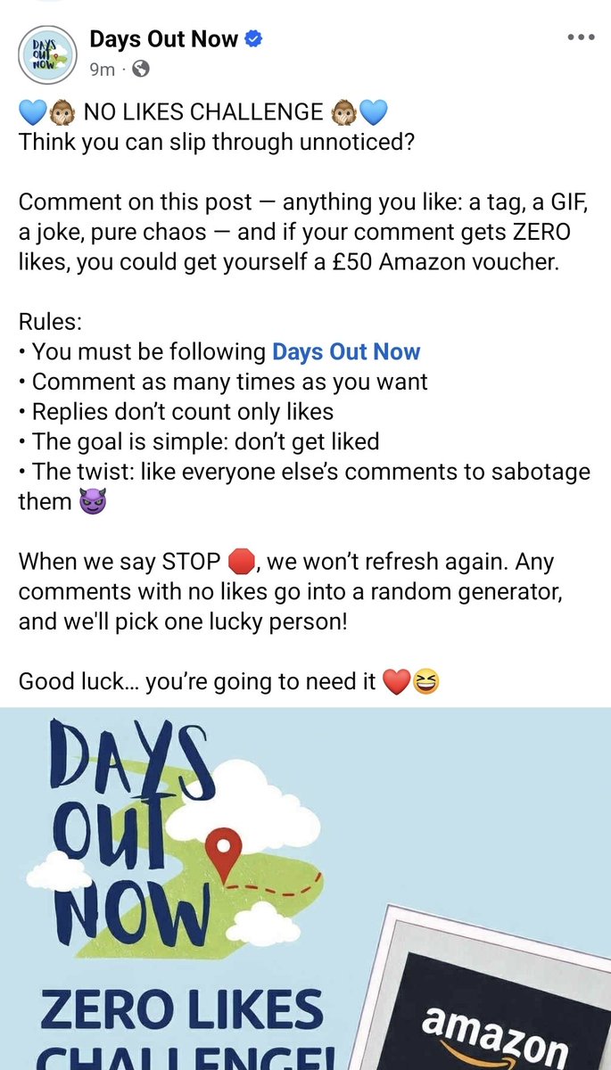 Days Out Now tweet media